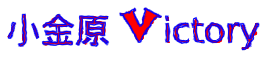 小金原ビクトリー